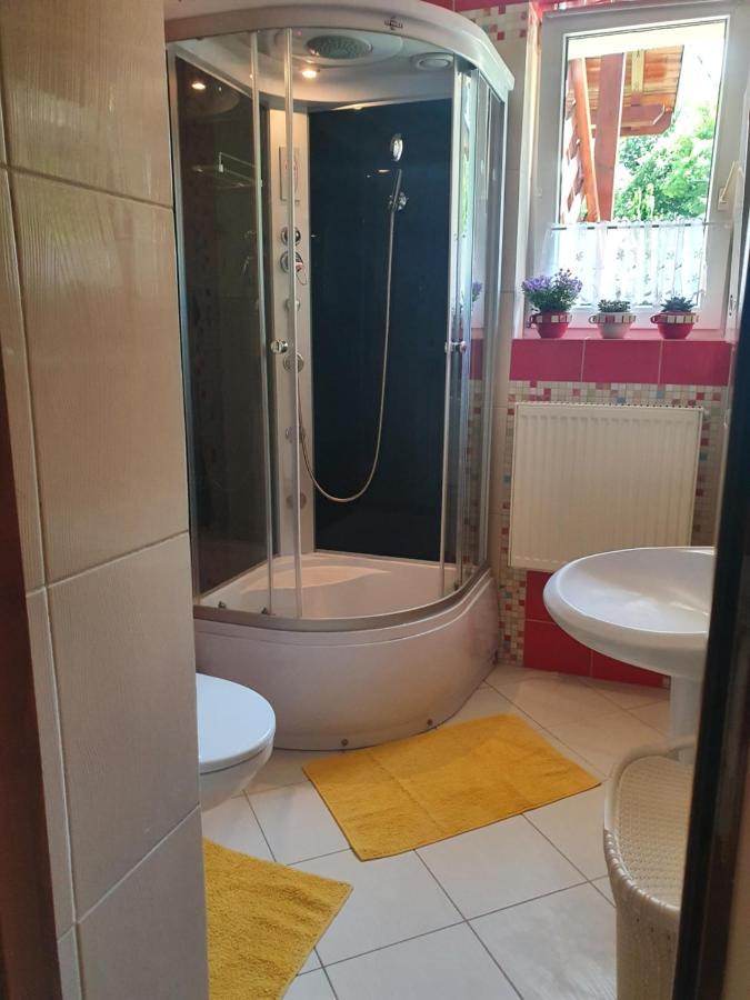 Przytulny Apartament-Cosy And Beautiful Zywiec Luaran gambar