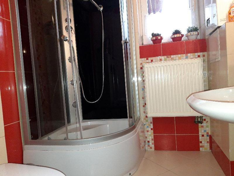 Przytulny Apartament-Cosy And Beautiful Zywiec Luaran gambar
